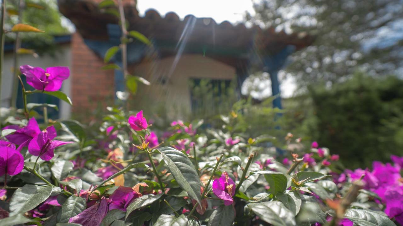 Termales El Otono